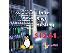 Bayi Linux Hosting