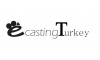 Ecasting Turkey