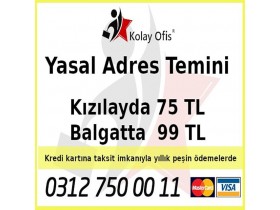 Sanal Ofis