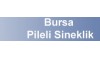 Bursa Pileli Sineklik İmalatı