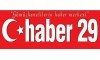 Haber 29 Gazetesi