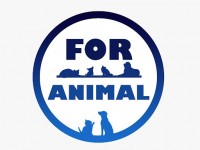 For Animal Veteriner Kliniği